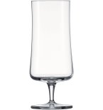 Schott Zwiesel Beer Basic