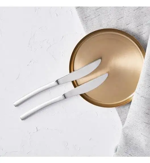 AMBITION SARAGOSSA Sztućce Komplet 48 el pudełko / 12 os / połysk 69808x2