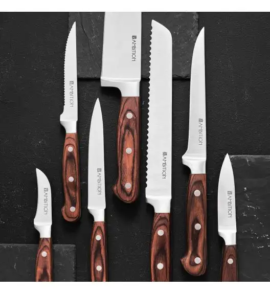 AMBITION TITANIUM Komplet noży w bloku drewnianym 6 elementów / drewniana rękojeść