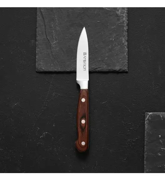 AMBITION TITANIUM Komplet noży w bloku drewnianym 6 elementów / drewniana rękojeść