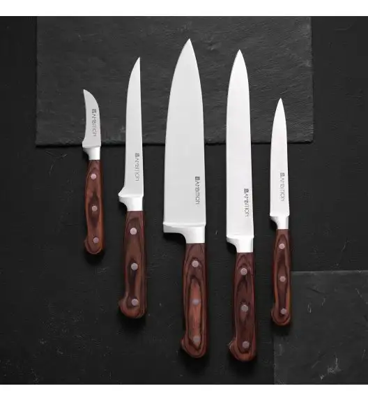 AMBITION TITANIUM Komplet noży w bloku drewnianym 6 elementów / drewniana rękojeść