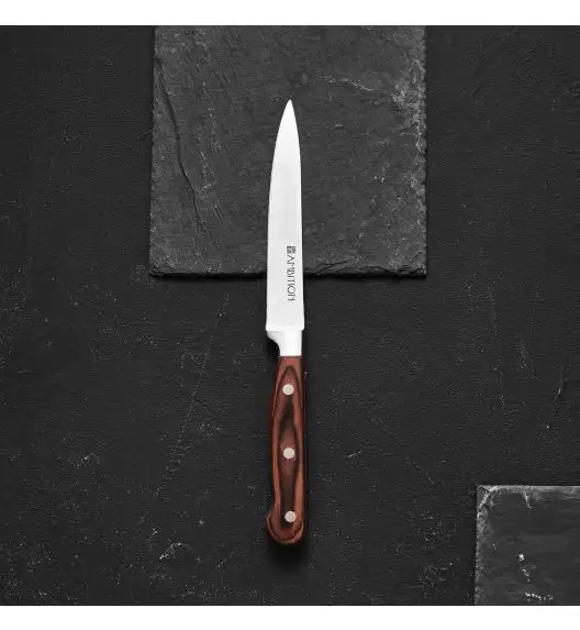 AMBITION TITANIUM Komplet noży w bloku drewnianym 6 elementów / drewniana rękojeść