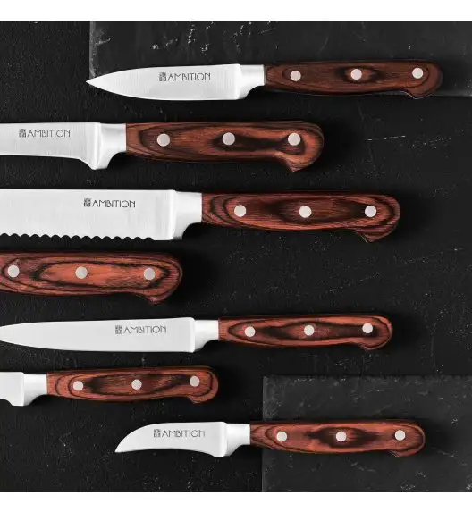 AMBITION TITANIUM Nóż do obierania 9 cm / drewniana rękojeść