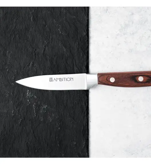 AMBITION TITANIUM Nóż do obierania 9 cm / drewniana rękojeść