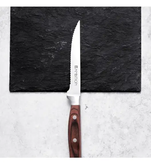 AMBITION TITANIUM Nóż do steków 11,5 cm