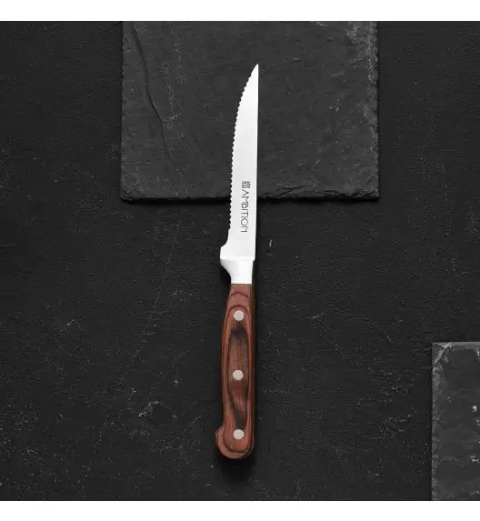 AMBITION TITANIUM Nóż do steków 11,5 cm