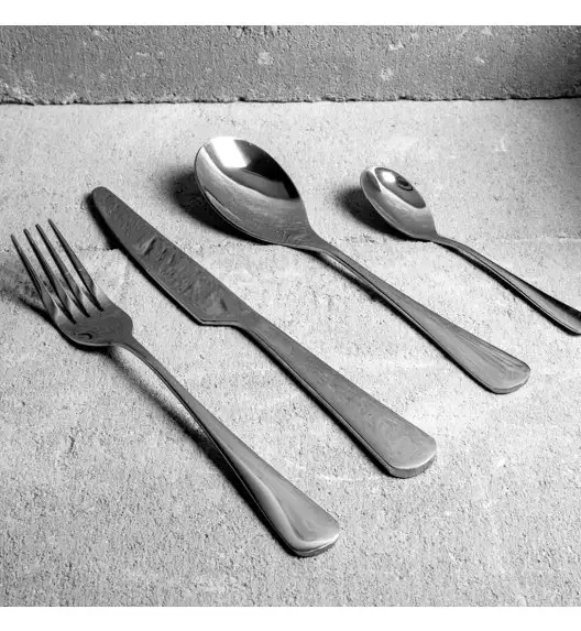 AMBITION RAVE Sztućce Komplet 24 el pudełko / 6 osób / połysk