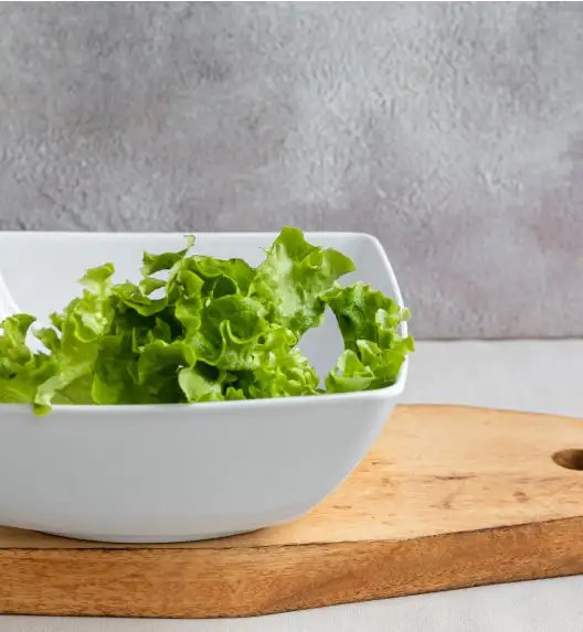 LUBIANA VICTORIA Komplet 8 dodatków serwingowych / porcelana