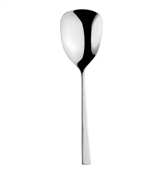 ETERNUM ATLANTIS Sztućce Łyżka do serwowania / połysk