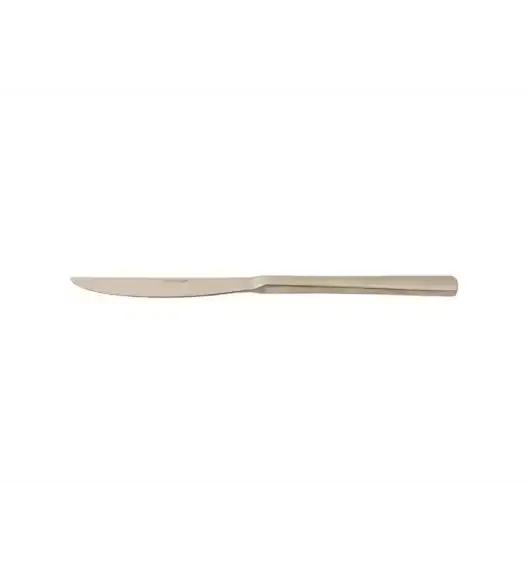 AMBITION MERIDA 2 x Nóż obiadowy / 2 elementy / stal nierdzewna