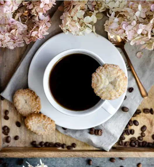 LUBIANA PAULA Filiżanka 290 ml + spodek 17 cm 