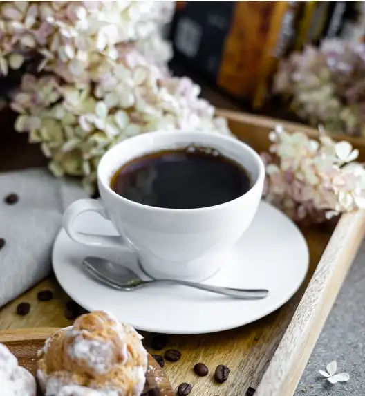 LUBIANA PAULA Filiżanka 290 ml + spodek 17 cm 