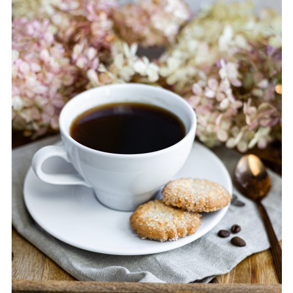 LUBIANA PAULA Filiżanka 290 ml + spodek 17 cm 