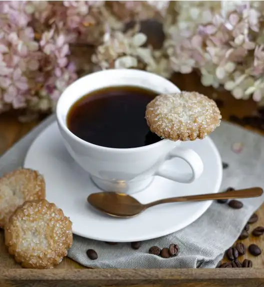 LUBIANA PAULA Filiżanka 290 ml + spodek 17 cm 