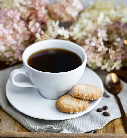 LUBIANA PAULA Komplet filiżanka 290 ml + spodek 17 cm / 12 os / 24 el 