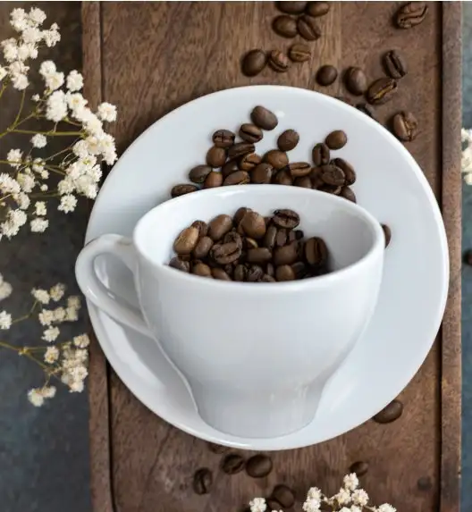 LUBIANA PAULA Filiżanka 200 ml + spodek 14 cm 