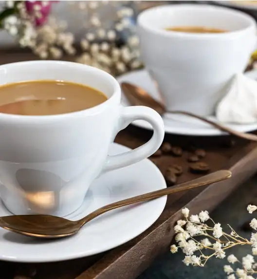 LUBIANA PAULA Filiżanka 200 ml + spodek 14 cm / 6 os / 12 el