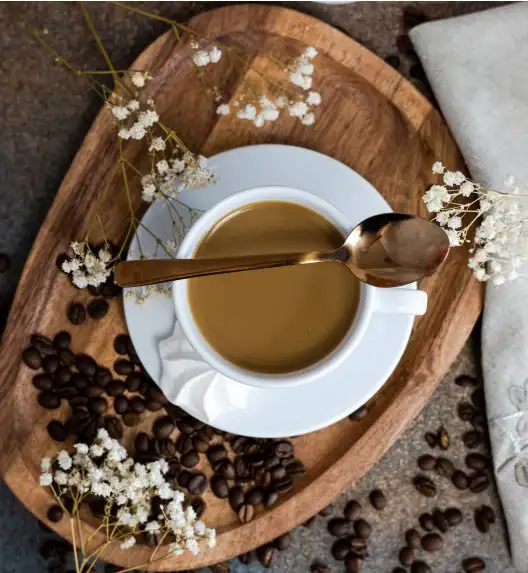 LUBIANA PAULA Filiżanka 200 ml + spodek 14 cm / 6 os / 12 el