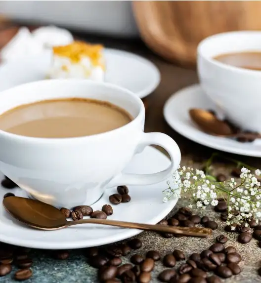 LUBIANA PAULA Filiżanka 300 ml + spodek 17 cm 