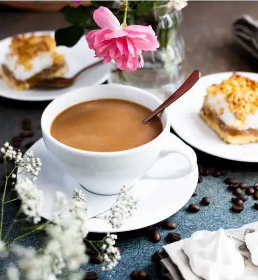 LUBIANA PAULA Komplet Filiżanka 300 ml + spodek 17 cm / 12 os / 24 el 