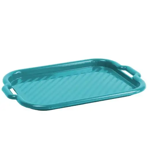 DOMOTTI CLEVER Taca do serwowania 40 x 28 cm z tworzywa sztucznego / niebiska