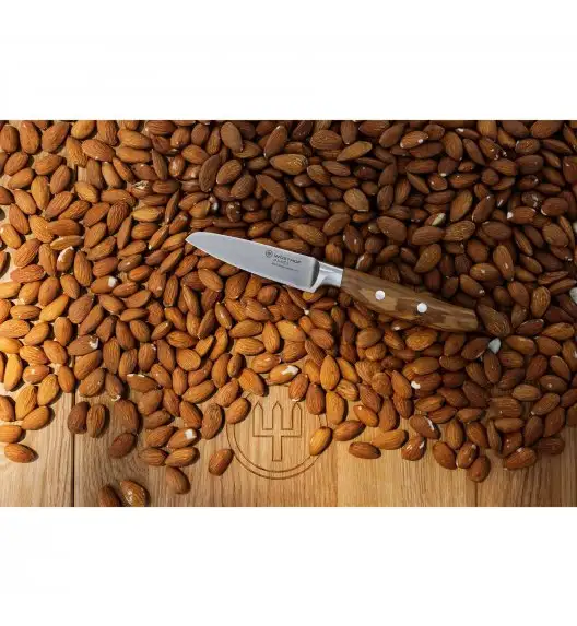 WÜSTHOF AMICI Nóż do warzyw 9/20,6 cm / stal nierdzewna