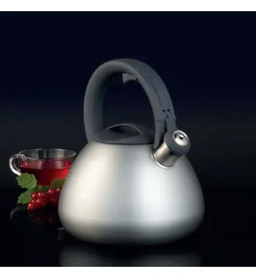 AMBITION SILVERY Czajnik 2,6 l srebrny / indukcja