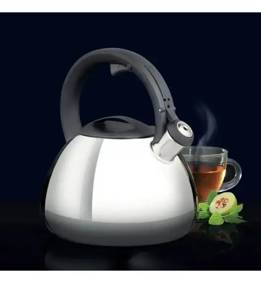 AMBITION BERRY Czajnik z gwizdkiem 2,6 l / stal nierdzewna