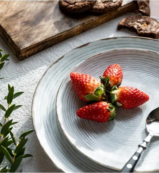 LUBIANA BOSS KERAJET | 101 KJ RAYADO | Serwis obiadowy 6/18 elementów | 9015