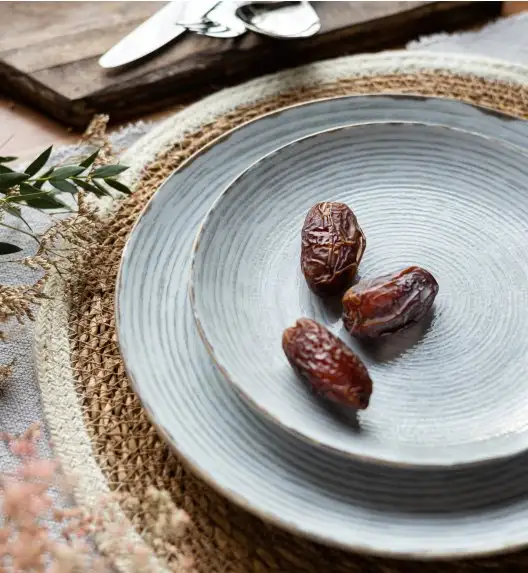 LUBIANA BOSS KERAJET | 101 KJ RAYADO | Serwis obiadowy 12/36 elementów | 9015