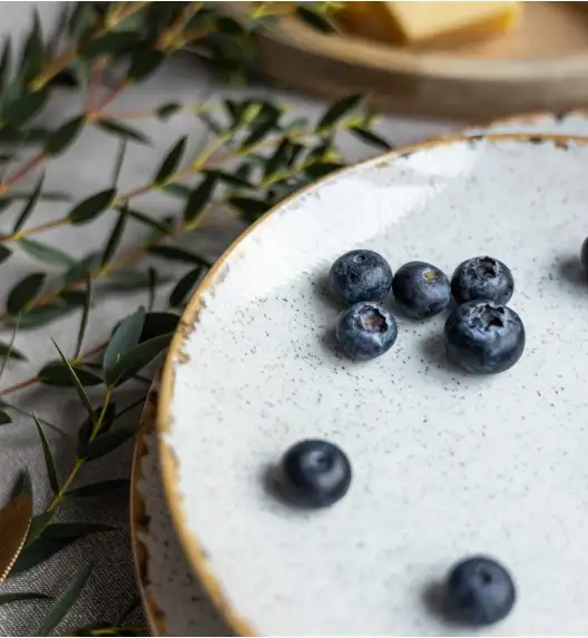 LUBIANA BOSS KERAJET | 103 KJ REACTIVO | 6x Talerz deserowy 20,5 cm | 9018