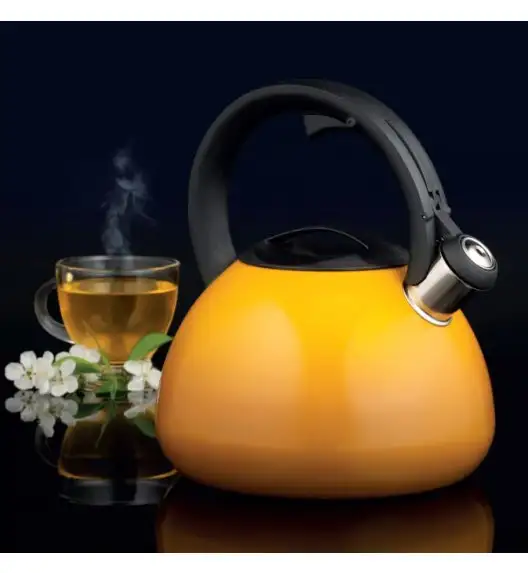 AMBITION OMBRE Czajnik 2,6 l musztardowy / indukcja