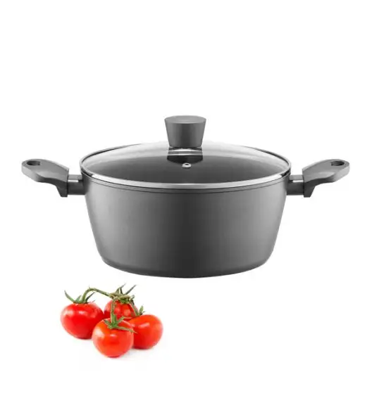 AMBITION VERSO Garnek z pokrywą 20 cm / 2,3 l / aluminium / indukcja