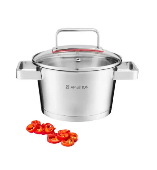 AMBITION SELECTION Garnek z pokrywką 24 cm / 5,3 l / stal nierdzewna / indukcja