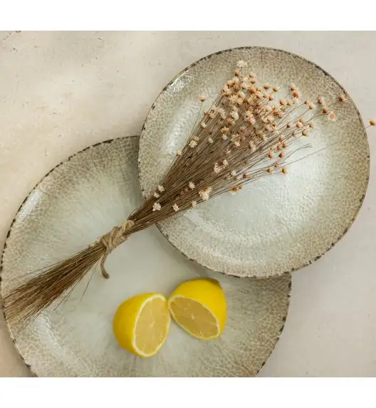 LUBIANA BOSS KERAJET | 217 KJ IRYS | Serwis obiadowy 12/36 elementów | 9062