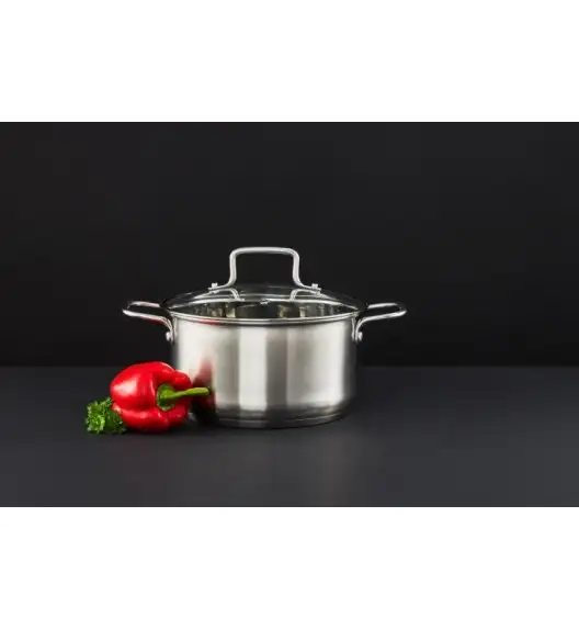 AMBITION HUGO Garnek z pokrywką 20 cm / stal nierdzewna / indukcja