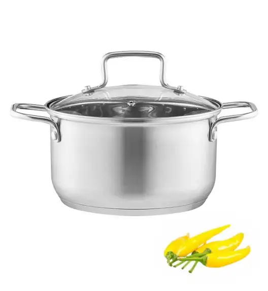 AMBITION HUGO Garnek z pokrywką 22 cm / stal nierdzewna / indukcja