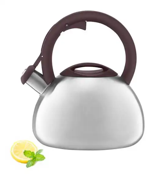 AMBITION MASTER STONE Czajnik 2,3 l / stal nierdzewna / indukcja