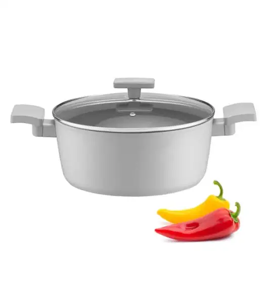 AMBITION GRIS Garnek z pokrywką 24 cm / 4,1 l / aluminium / z powłoką Qualum Basic