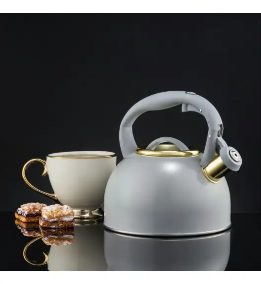 AMBITION ROYAL Czajnik z gwizdkiem 2 l / szary / indukcja