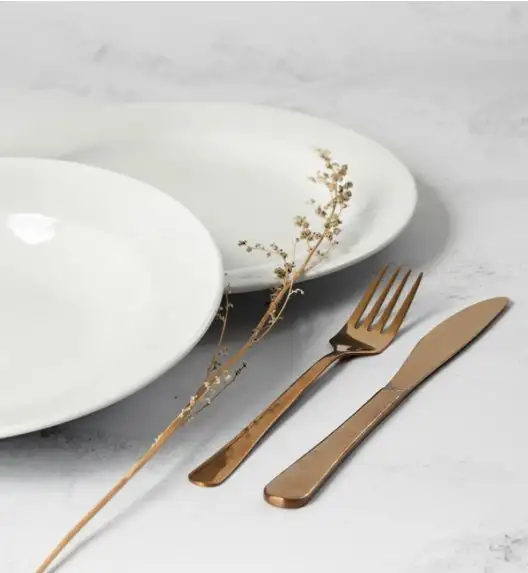 WYPRZEDAŻ! WYPRZEDAŻ! KAHLA K-A |46 3 102| Komplet 2 talerzy dla 1 osoby  / porcelana