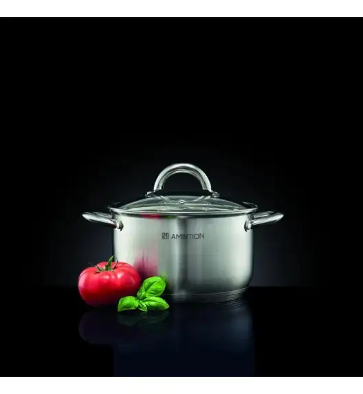 AMBITION SOLAR Garnek z pokrywką 20 cm 3,5 l / stal nierdzewna / indukcja