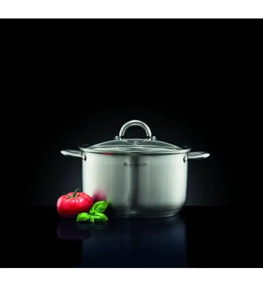 AMBITION SOLAR Garnek z pokrywką 24 cm 6,1 l / stal nierdzewna / indukcja