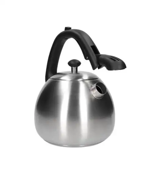 ZWIEGER VISIONARY Czajnik 3 l / srebrny / stal nierdzewna