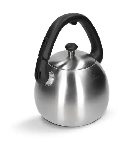 ZWIEGER VISIONARY Czajnik 3 l / srebrny / stal nierdzewna