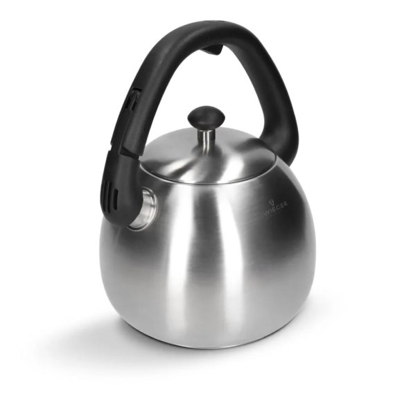 ZWIEGER VISIONARY Czajnik 3 l / srebrny / stal nierdzewna