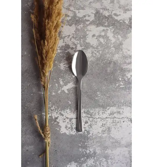 AMBITION SIENA Sztućce Komplet 72 el w walizce dla 12 osób / stal