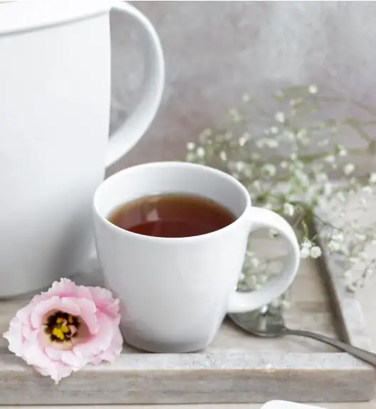 LUBIANA VICTORIA Serwis kawowy 21 el / 6 osób