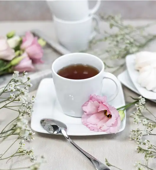 LUBIANA VICTORIA Serwis kawowy 21 el / 6 osób