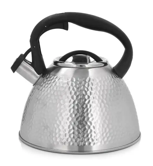 AMBITION BUBBLE CZAJNIK 2,6L (3,2L) SATYNA IND